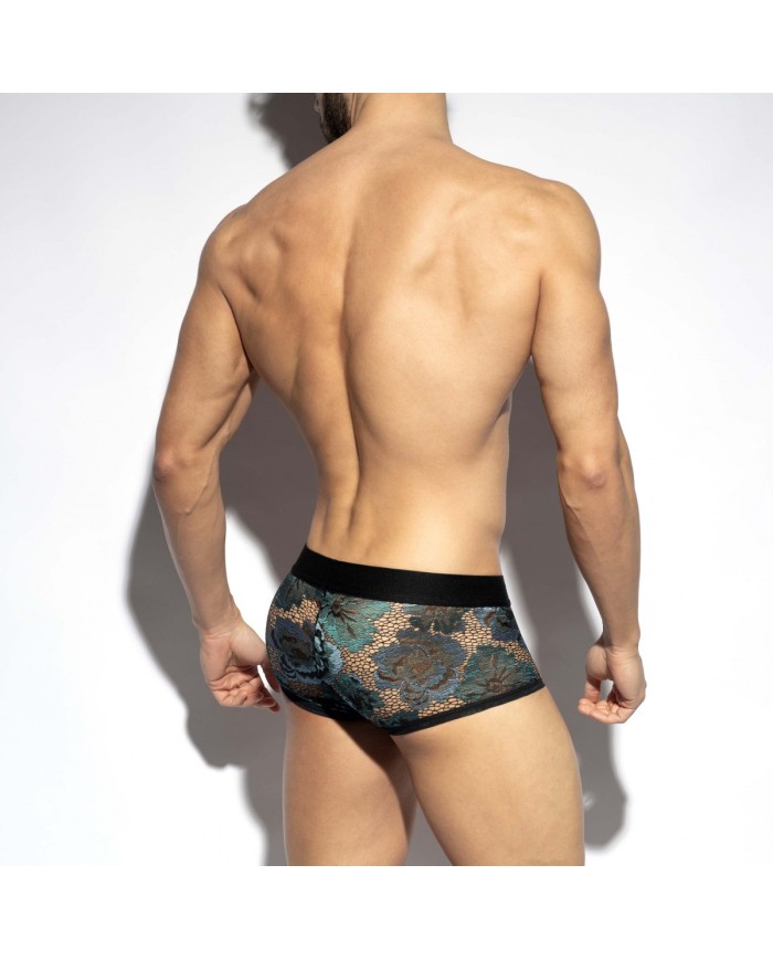 Boxeri Grădina Botanică de la Es Collection UN633