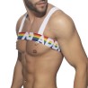 AD1111 Addicted Rainbow Harness ADS1111