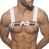 AD1111 Addicted Rainbow Harness ADS1111