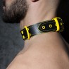Zgardă din Piele Diverse Culori Addicted ADF44