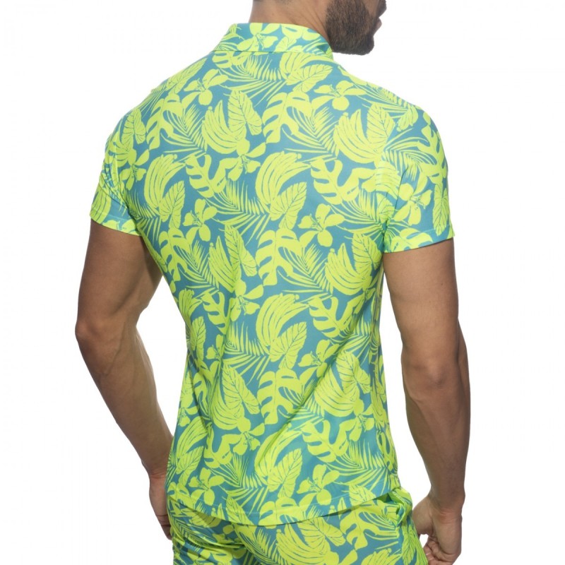 Addicted Calatheas Ing AD1367 | Addicted România – fast delivery