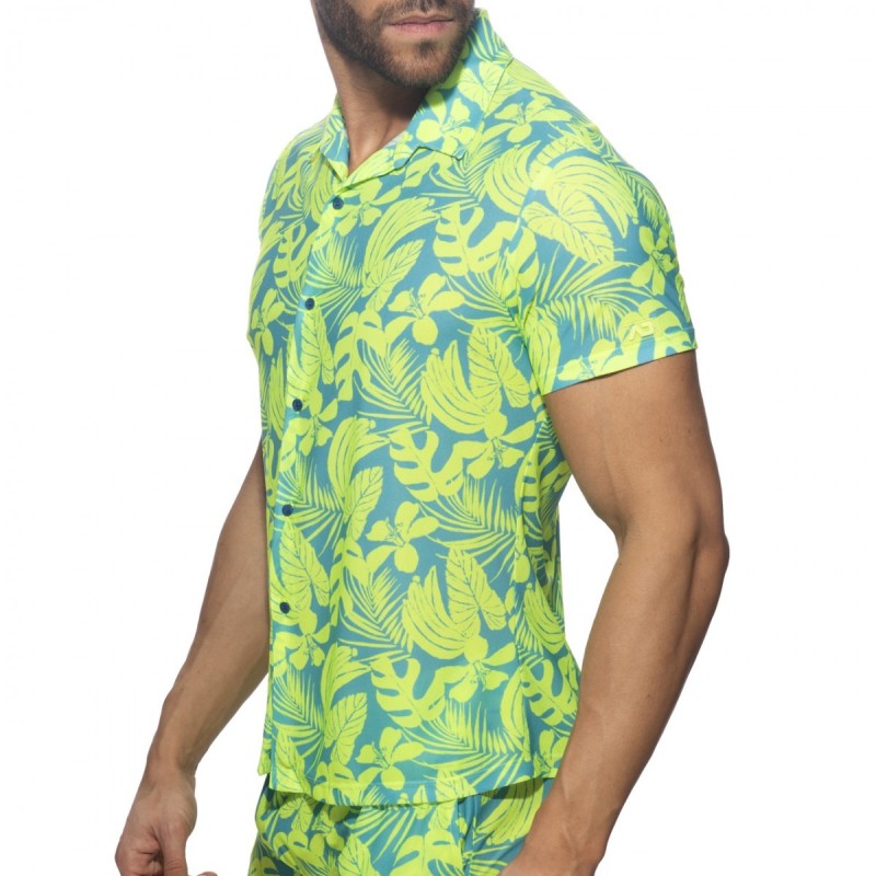 Addicted Calatheas Ing AD1367 | Addicted România – fast delivery