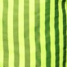 Șort de Baie Neon Stripes ES Collection 2523 | Addicted România – livrare rapidă