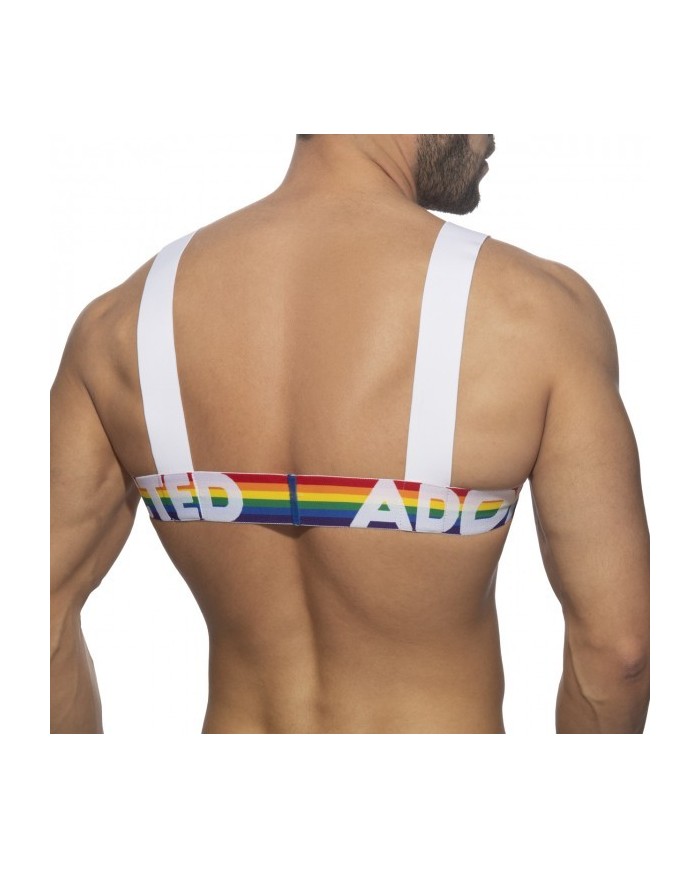 Addicted Ham Curcubeu AD1111