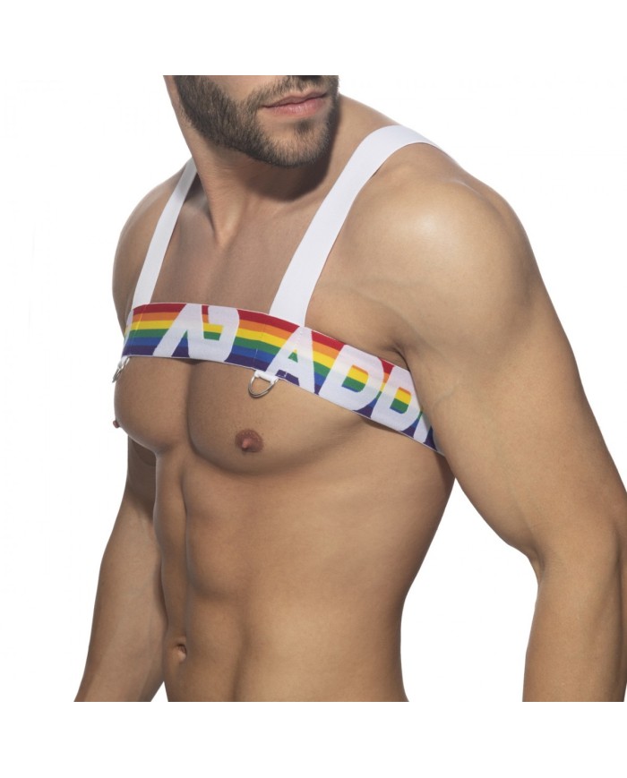 Addicted Ham Curcubeu AD1111