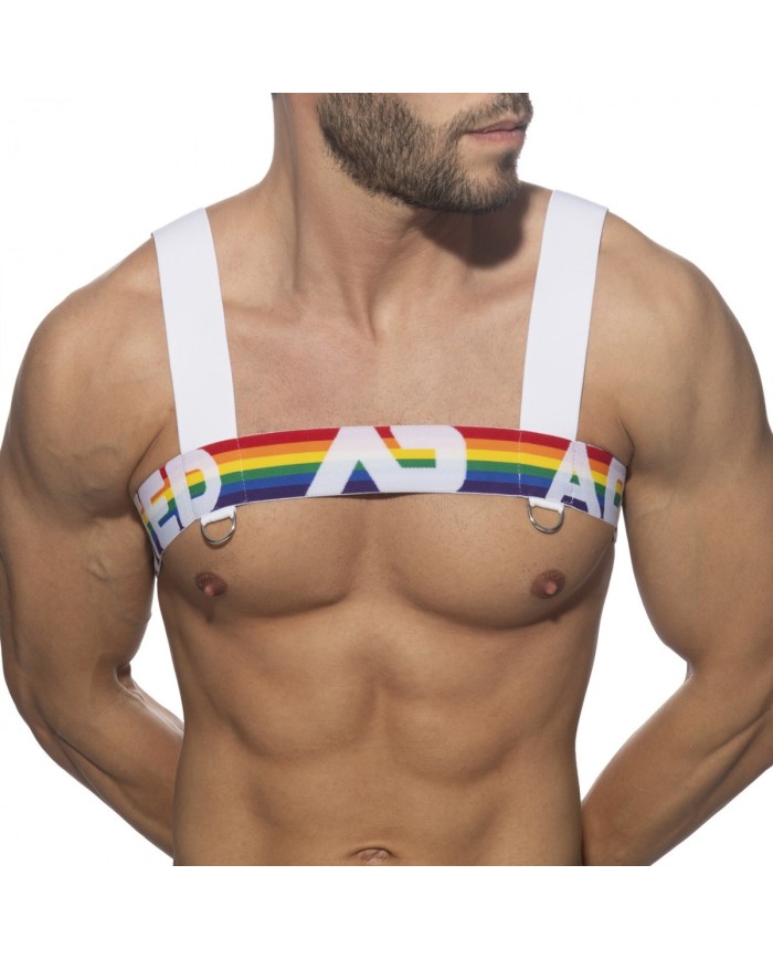 Addicted Ham Curcubeu AD1111